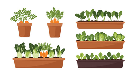 Fototapeta premium Assortment of various vegetable plants growing in pots and planters, including carrots, lettuce, spinach, and leafy greens in a garden.