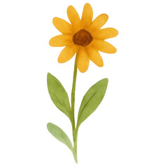 Bright Yellow Flower Illustration on Transparent Background