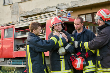 Firefighters rescuing a cat from a building, firemen in uniform with helmets saving animal,...