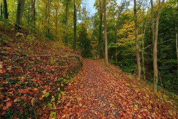 Old city of Wolfenbüttel, Lower Saxony, Germany in autumn, completely covered with a thick carpet of fallen leaves in vibrant shades of yellow, orange, and brown.