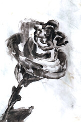 Rose flower, plant. Art, painting. Encaustic, art decoration, sketch. Illustration hand drawn modern, hot wax new