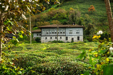 Historic Laz mansions in the Black Sea