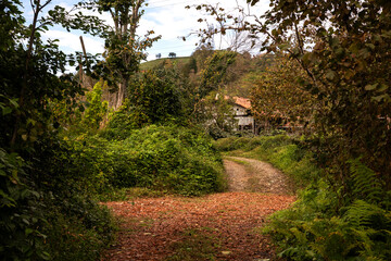 Historic Laz mansions in the Black Sea
