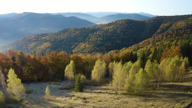Ukraine, drone, flight in the Carpathians over the mountains of the village of Mykulychyn, dawn fogs. combination of the beauty of nature and gentle foggy dawn