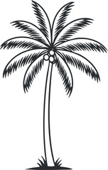 A stylized illustration of a palm tree with detailed leaves and a slender trunk.