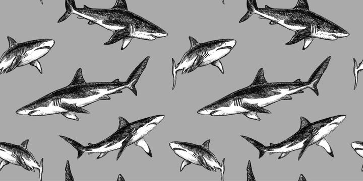 Great white shark seamless pattern in sketch style. Hand drawn pencil textured outline art on gray background. Black vector monochrome design inspired by marine wildlife. Perfect for textile design.