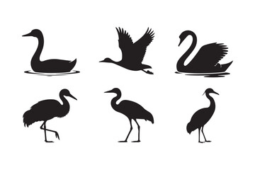Silhouette collection of graceful water birds in various poses