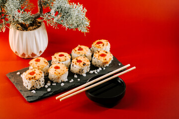 Delicious sushi rolls served on a slate plate with chopsticks and a decorative plant