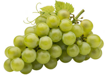 A cluster of green grapes with leaves, against transparent background