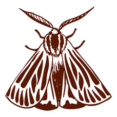 Hand drawn moth with detailed wings and antennae in brown line art. Elegant symmetrical insect vector illustration. Nature and decorative graphic.