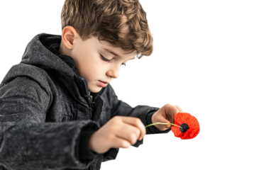 Reflective moment of young boy showing respect at grave marker with symbolic poppy isolated on transparent background PNG