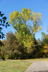 Autumn Landscape of South Park in city of Sofia, Bulgaria