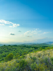 Expansive green landscape under a bright blue sky during the golden hour near a serene mountain range