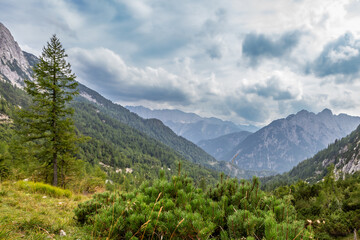 Experience the breathtaking landscapes of Vršič in Slovenia, featuring lush greenery and towering mountains under a cloudy sky.