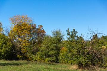 Autumn Landscape of South Park in city of Sofia, Bulgaria