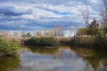 Liberty State Park in Jersey City.