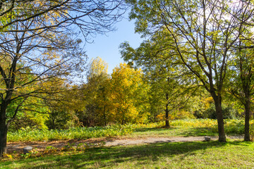 Autumn Landscape of South Park in city of Sofia, Bulgaria