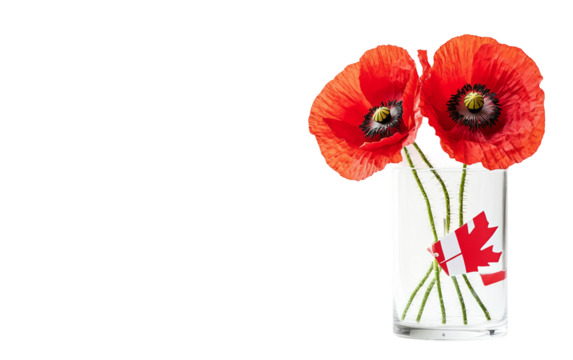 Simple patriotic display of red poppy flowers in vase expressing respect for veterans and remembrance day isolated on transparent background PNG - Powered by Adobe