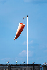 Wind indicator cone on Cardiff Pier surrounded by seagulls