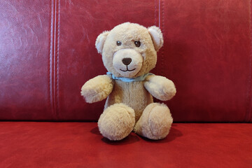 Teddy bear sitting on a red leather couch