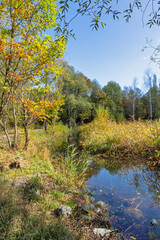 Autumn Landscape of South Park in city of Sofia, Bulgaria