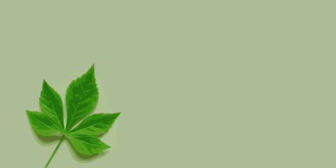 Simple green design with leaf.