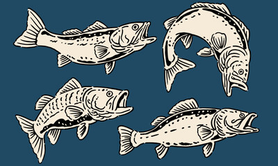  set of four bass fish in a monochrome vintage style. Hand drawn illustration for a fishing t shirt print on a dark background