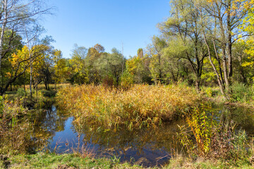 Autumn Landscape of South Park in city of Sofia, Bulgaria