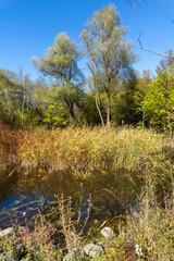 Autumn Landscape of South Park in city of Sofia, Bulgaria