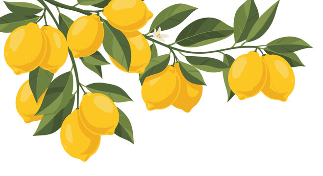 A vibrant illustration featuring lemons on a branch with green leaves, suitable for various design projects and themes.