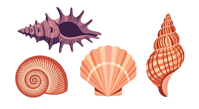 Collection of five colorful stylized seashells on a white background.