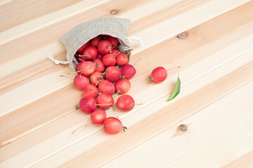 Apples. The fruits of a small-fruited apple tree spilled out of a cloth bag on a light wooden background.