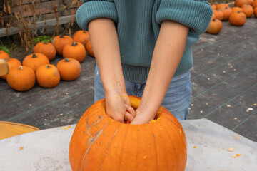Young person with hands inside a large pumpkin, preparing for carving, surrounded by pumpkins in a field, showcasing autumn harvest and festive creativity