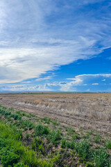 Vast countryside landscape under a brilliant blue sky with fluffy clouds, showcasing the beauty of nature at sunset near a tranquil field