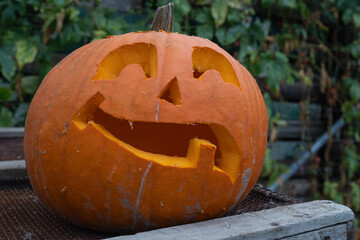 Carved pumpkin with a smiling face, resting on a wooden surface, surrounded by green foliage, showcasing autumn decorations and seasonal spirit