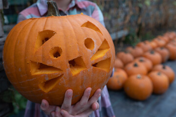 Carved pumpkin held by child, showcasing playful facial design, surrounded by a field of pumpkins, capturing the essence of autumn festivities and seasonal celebrations