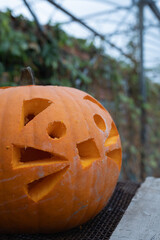 Carved pumpkin with playful facial expressions sits on a rustic wooden table, surrounded by greenery, showcasing autumn festivities and seasonal decorations