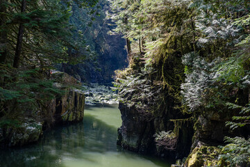 Wild mountain river in the forest park at Capilano River park, North Vancouver, BC, Canada