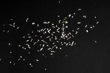 Grated coconut powder. Dry coco flakes pile, shredded desiccated coconut, tropical fruit chips