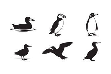 Collection of six silhouette illustrations of different seabirds