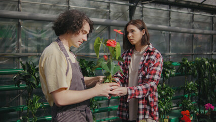Gardening enthusiasts select vibrant flowers in a greenhouse while sharing tips on plant care and nurturing during a sunny afternoon