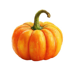 A detailed illustration of a single vibrant orange pumpkin glistening with water droplets set against a solid , isolated on transparent background, perfect cutout, PNG