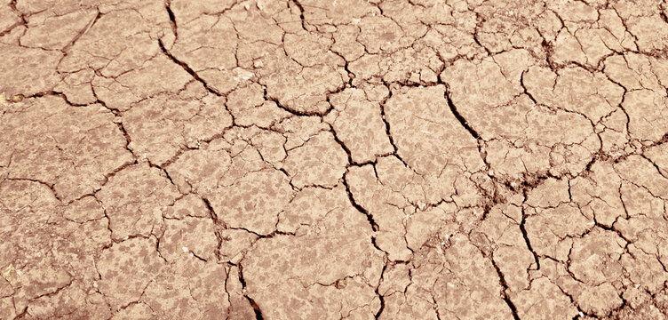Close-up of cracked, dry earth forming a deep, intricate texture, symbolizing drought, climate change, and desertification.