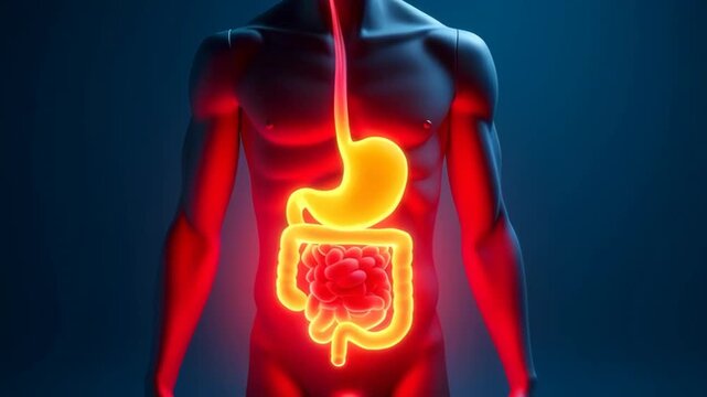 Stomach pain: abdominal discomfort, digestive issues, medical illustration, symptom analysis, treatment options, dietary changes, pain relief, holistic approaches, effective management strategies,