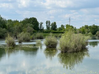 Obraz premium Orešje Lake or artificial lake Oresje (Zagreb County, Croatia) - Oresje-See oder künstlicher See Oresje (Kroatien) - Umjetno jezero Orešje (Sveta Nedelja, Hrvatska)