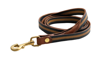 Striped fabric dog leash with brass clasp & leather accents on a dark background