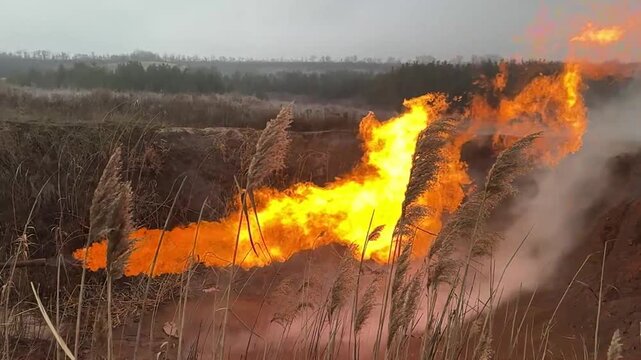 release of natural gas methane propane to the surface in the Ukrainian steppe near the village of Shebelinka, fire among tall grasses