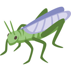 Green Grasshopper Insect With Purple Wings And Dark Eyes Detailed Full Body Illustration On Transparent Background