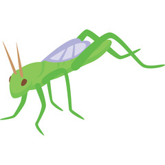 Green Grasshopper Insect With Transparent Background And Simple Design Ideal For Educational Purposes And Nature Graphics