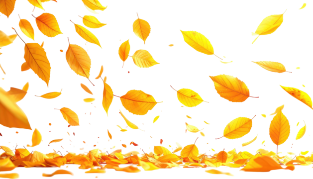 Golden leaves cascading and scattering on a black background. Fall aesthetic